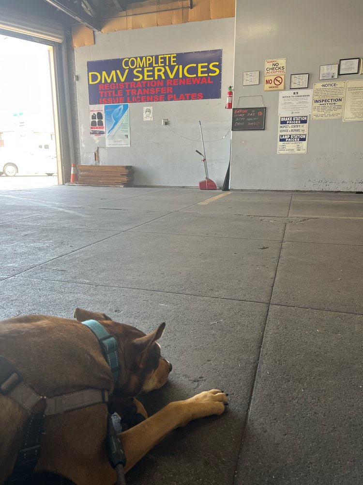 QUICK SMOG Updated October 2024 37 Reviews 619 S Glendale Ave