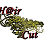 Photo of Hair Cut