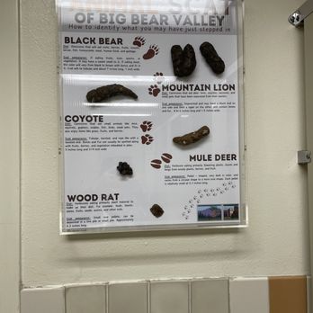 Big Bear Discovery Center - Types of animal droppings found along the way - Hiking Near Me - Fawnskin, California Big Bear Discovery Center - Types of animal droppings found along the way - Hiking Near Me - Fawnskin, California