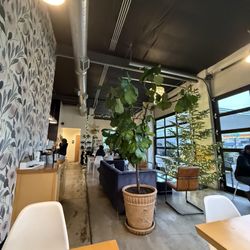 Forage Coffee - Interior