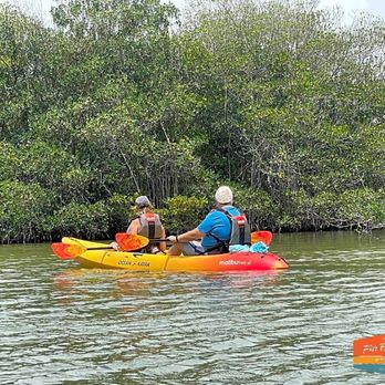 Fin Expeditions - Still looking! Elusive creature when paddle bangs side of boat!! - Rafting/Kayaking Near Me - Cocoa Beach, Florida
