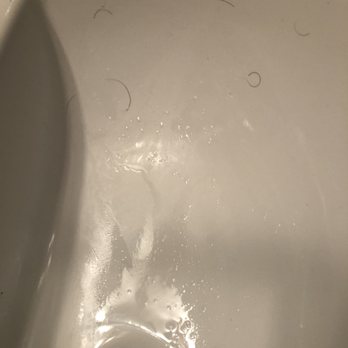 Ruby Room Spa & Shop - Pubes in the sink. - Skin Care Near Me - Chicago, Illinois