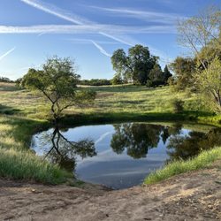 Angels Camp Rv & Camping Resort - Pond