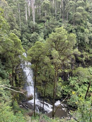 Erskine Falls by null