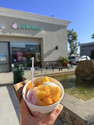 Pinkberry by null