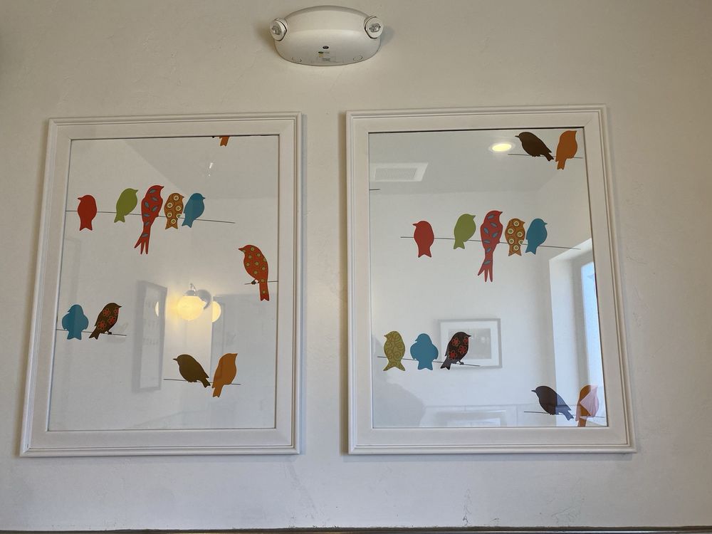 Bird & The Bottle - Photo 2