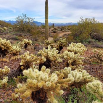 Desert Vista Trail Head - Hiking Near Me - Phoenix, Arizona