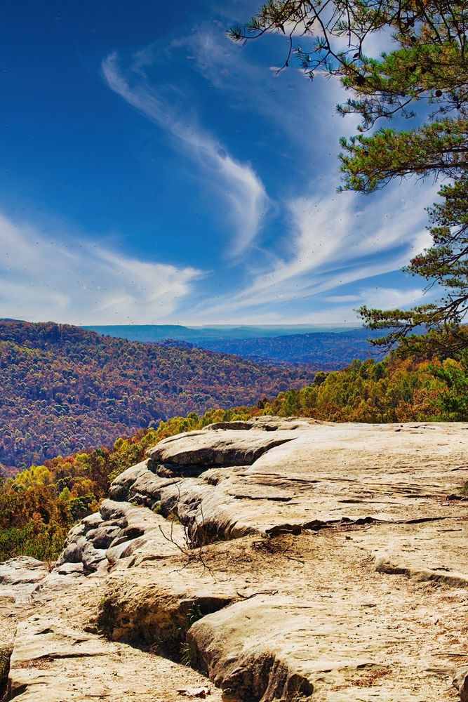 Bee Rock Overlook Logo