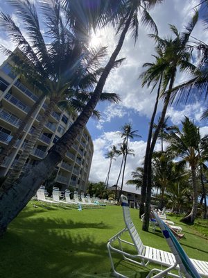The Hale Pau Hana by null