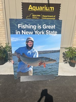 New York State Fairgrounds by null