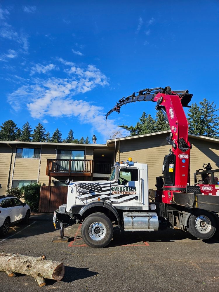 Evergreen Tree Services - tree service in Tigard, OR