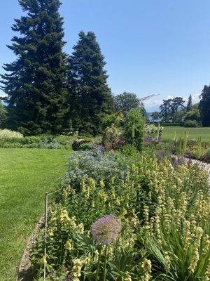 Conservatoire et Jardin botaniques de Genève by null