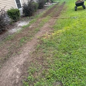 Lowco Gardeners - Road skid steer back and forth over my grass and made a mud pit with no intention of repair - Gardeners Near Me - Beaufort, South Carolina Lowco Gardeners - Road skid steer back and forth over my grass and made a mud pit with no intention of repair - Gardeners Near Me - Beaufort, South Carolina