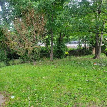 Treemen Services - Tree Services Near Me