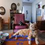 Photo of Scenic Hills Animal Hospital