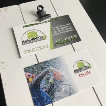 Mondragon Tree Care - Tree Services Near Me Mondragon Tree Care - Tree Services Near Me