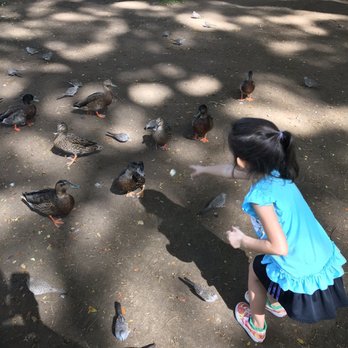Moanalua Gardens - Parks Near Me - Honolulu, Hawaii