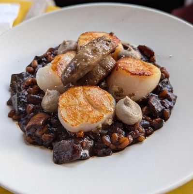 8282 by null 8282 by null