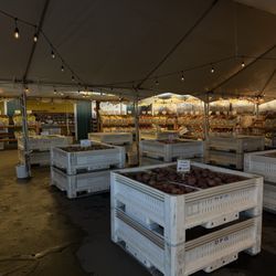 Kiyokawa Family Orchards - So many apple varieties