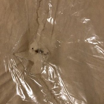 Greatstate Movers - Hole in mattress - Movers Near Me