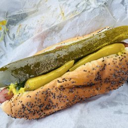 Chicago Dog