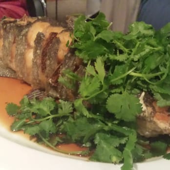 Shiro - 3lb Catfish - $34 - Asian Fusion Near Me - South Pasadena, California Shiro - 3lb Catfish - $34 - Asian Fusion Near Me - South Pasadena, California