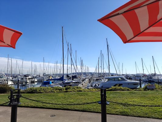 Maggie Bluffs by null