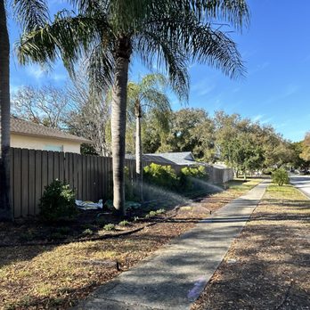 Eden Nursery - Nurseries & Gardening Near Me - Clearwater, Florida
