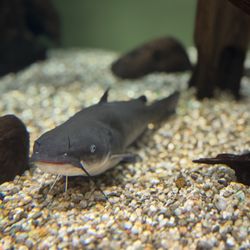 South Carolina Aquarium