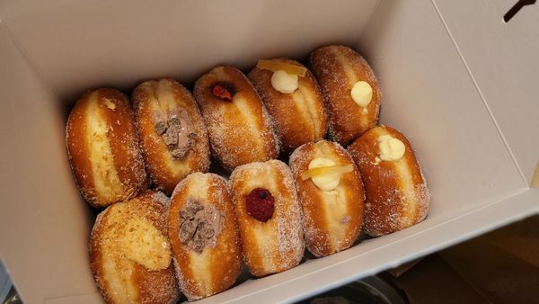 General Porpoise by null