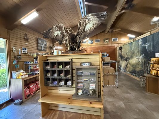 Lake Ouachita State Park by null