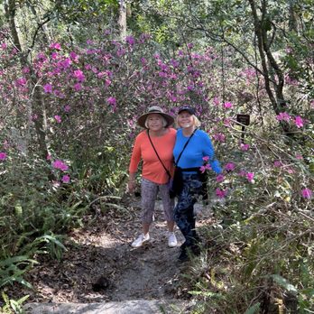 Ravine Gardens State Park - Lovely flowers - Parks Near Me - Palatka, Florida