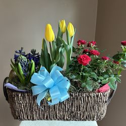 Bowl & Bloom - Spring flower basket