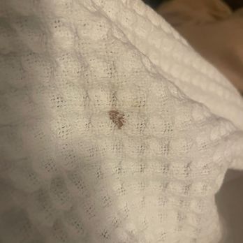 The Whitehall - Stain on sheets - Hotels Near Me - Houston, Texas The Whitehall - Stain on sheets - Hotels Near Me - Houston, Texas