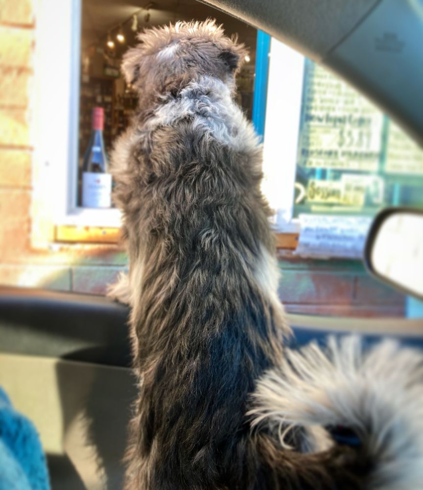 PLAZA LIQUORS & FINE WINES Updated September 2024 29 Photos & 151 Reviews 2642 N Campbell