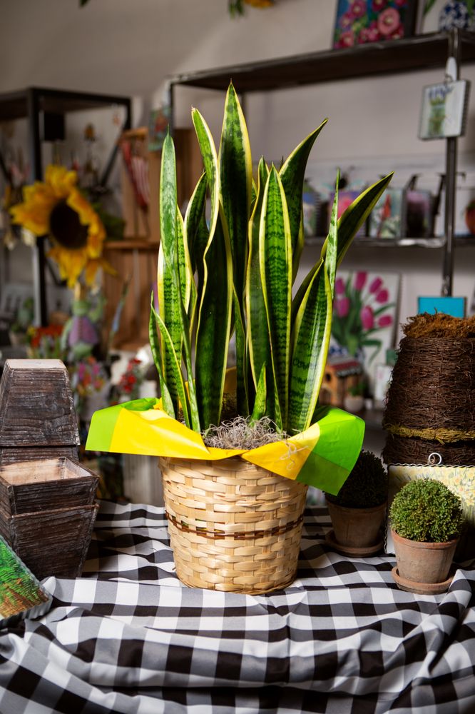 VALLEY BLOSSOM SHOP Updated October 2024 Request Information 44