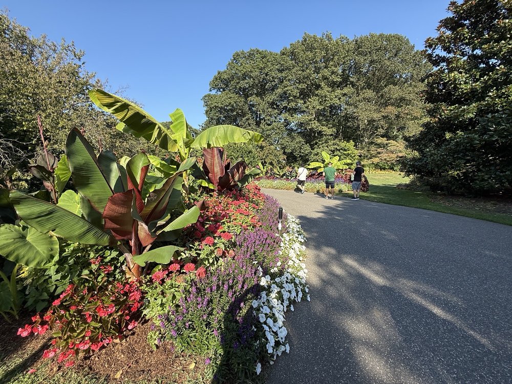 Social spots from Clark Botanic Garden