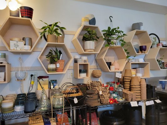 Our Plants - Come on in and select from our plant sections! Our Plants - Come on in and select from our plant sections!