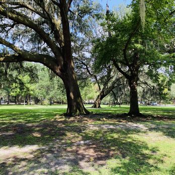 Tiedeman Park - Oak trees - Parks Near Me - Savannah, Georgia