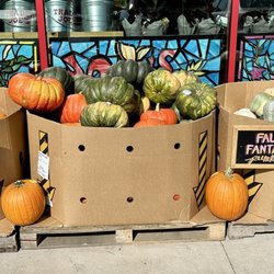 Trader Joe's - Pumpkins anyone. I liked the fall fantasy because it is white. I'll be back for you.