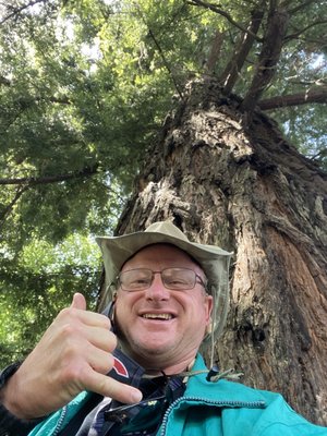 Healdsburg Plaza by null