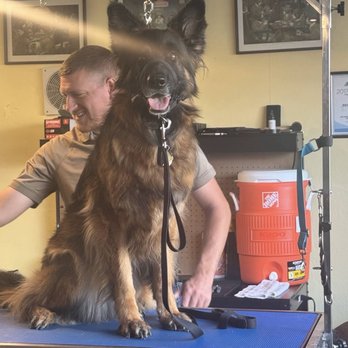 Dog Holliday Grooming - Pet Groomers Near Me - Englewood, Colorado Dog Holliday Grooming - Pet Groomers Near Me - Englewood, Colorado