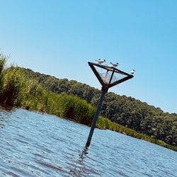 Blackwater Adventures - More on the Blackwater.
