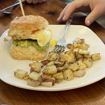 The Buttered Biscuit - Springdale - Razorback biscuit sandwich - Breakfast & Brunch Near Me - Springdale, Arkansas The Buttered Biscuit - Springdale - Razorback biscuit sandwich - Breakfast & Brunch Near Me - Springdale, Arkansas
