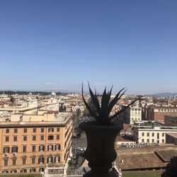 Sistine Chapel Tours - View point