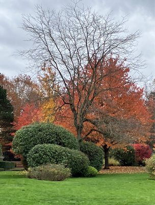 Charleson Park by null