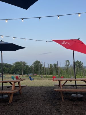 Warwick Farm Brewing by null