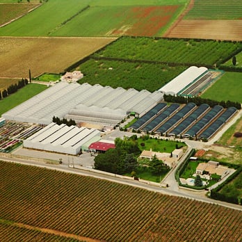 La Serre aux Fleurs Hortigard - hortigard Vue du ciel - Nurseries & Gardening Near Me - Manduel, 30 La Serre aux Fleurs Hortigard - hortigard Vue du ciel - Nurseries & Gardening Near Me - Manduel, 30