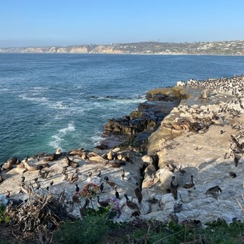 Duke's La Jolla - New American Near Me - La Jolla, California