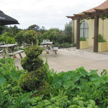 Ascension Vineyard - Wineries Near Me - Matakana, AUK